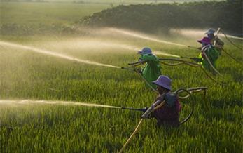 the price of pesticides on domestic market rose steadily in august